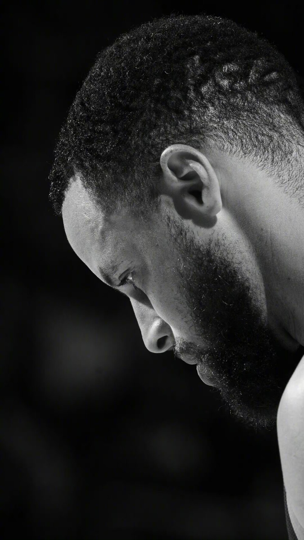 他们将在强 他们将在强